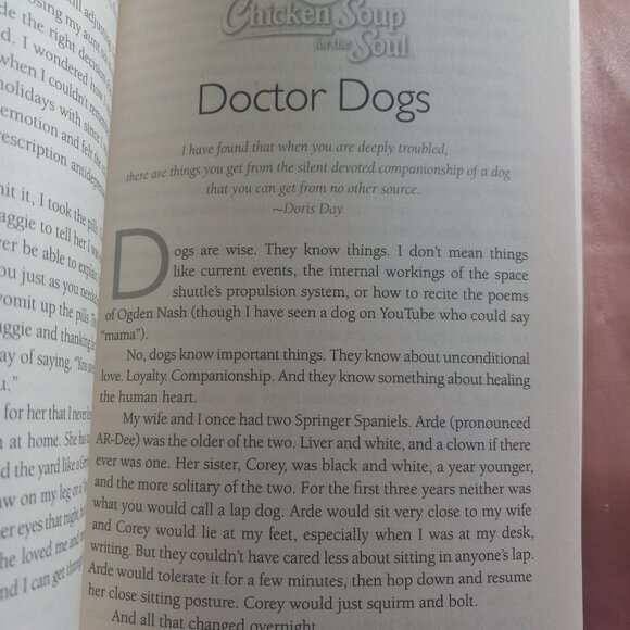 Chicken Soup for the Soul The Dog Did What? - Picture 4 of 4